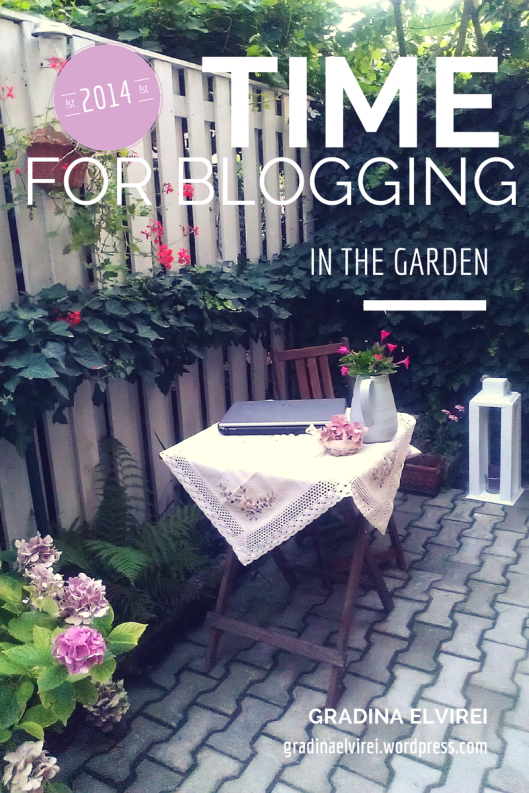 Time for blogging garden flowers elvira gradina gardening